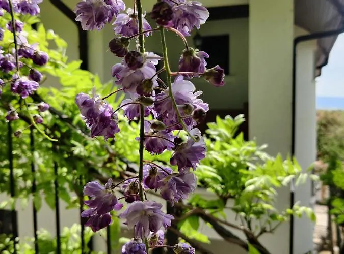 Affittacamere Cloudbase