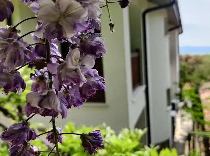 Affittacamere Cloudbase 3*