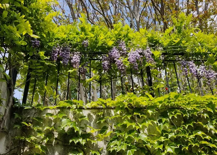 Cloudbase Affittacamere 3*