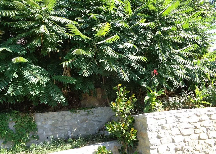 Affittacamere Cloudbase